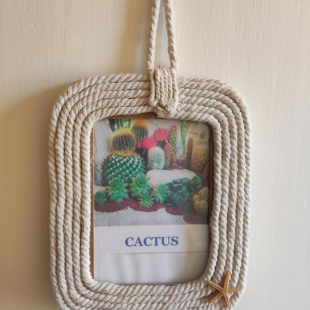 Chambre Chez L'Habitant "Cactus" Une, Deux Ou Trois Personnes Derval 外观 照片