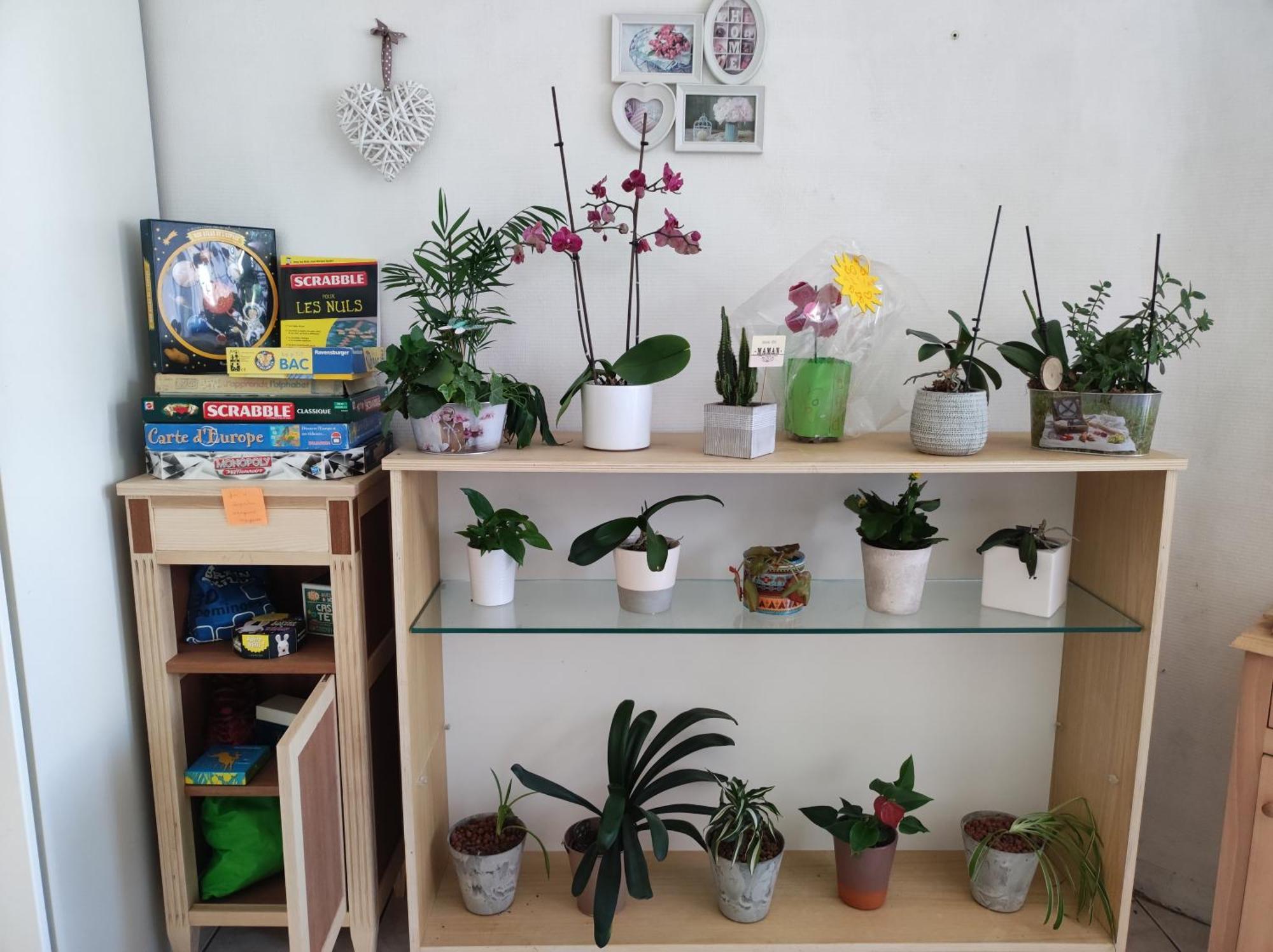 Chambre Chez L'Habitant "Cactus" Une, Deux Ou Trois Personnes Derval 外观 照片